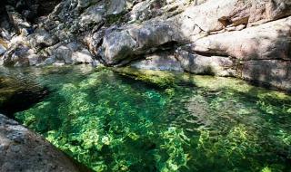 牯牛降旅游 牯牛降旅游